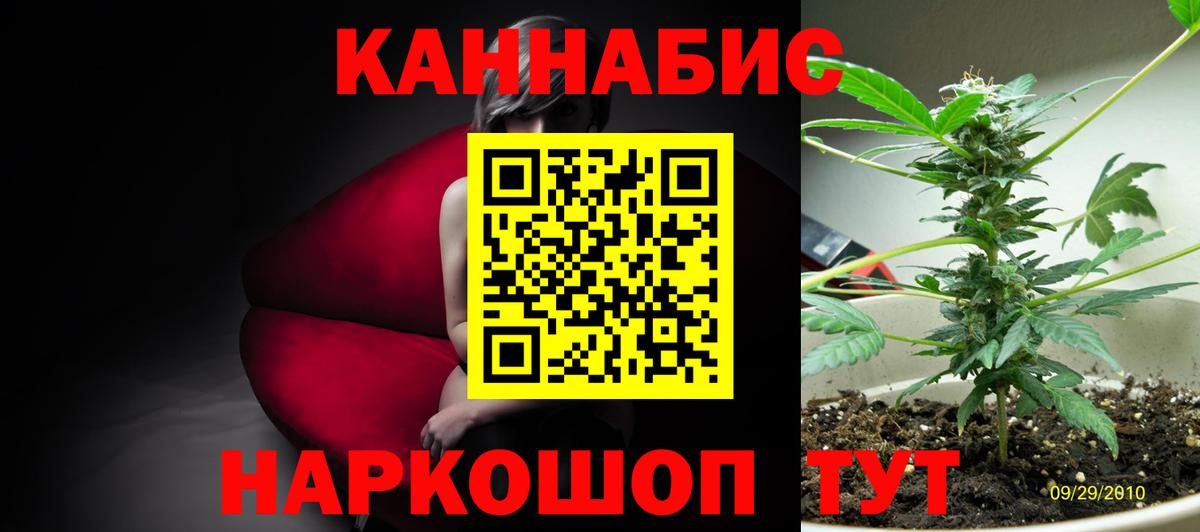 Канабис White Widow Канаш